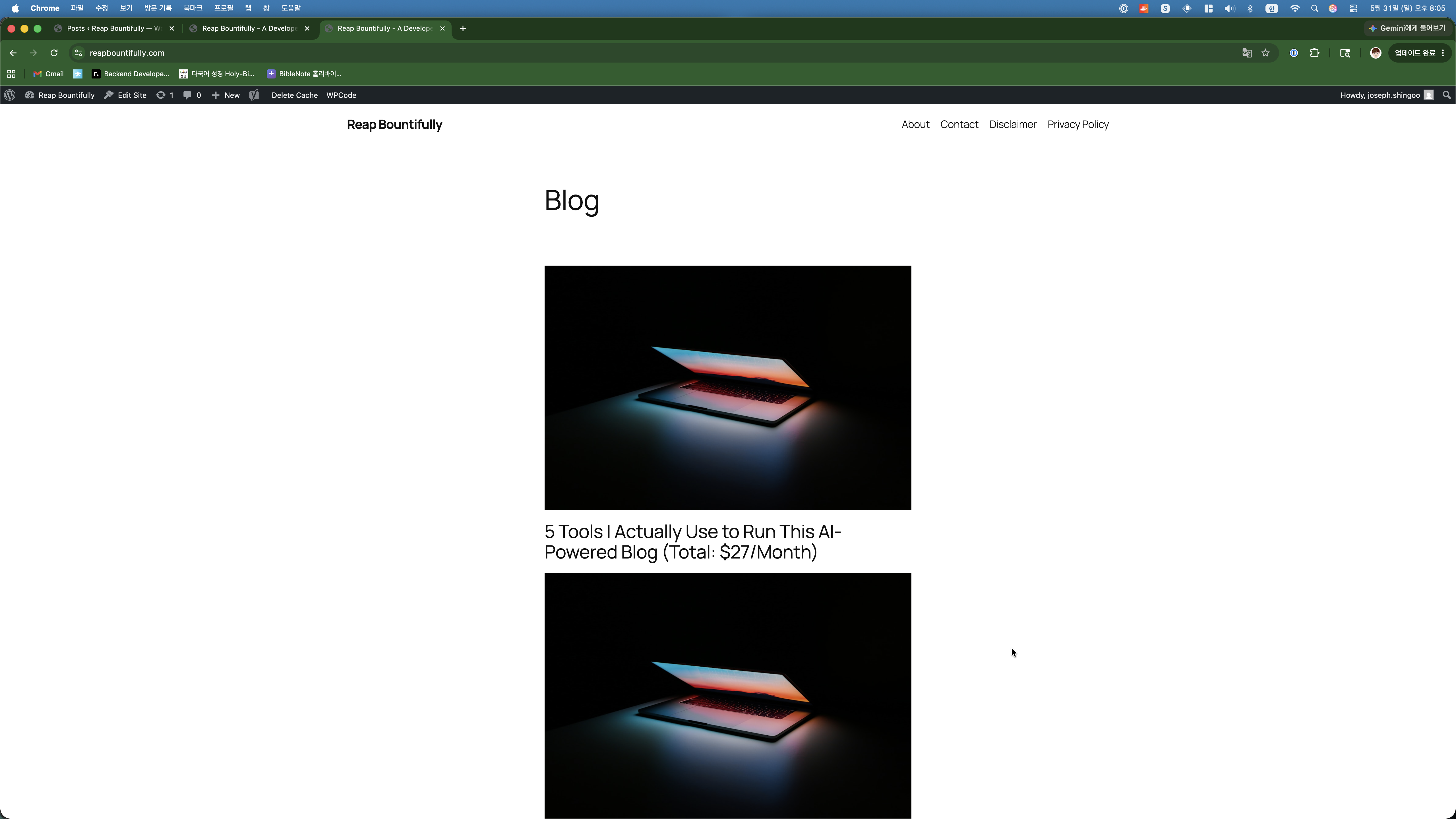 Blog with default Twenty Twenty-Five theme