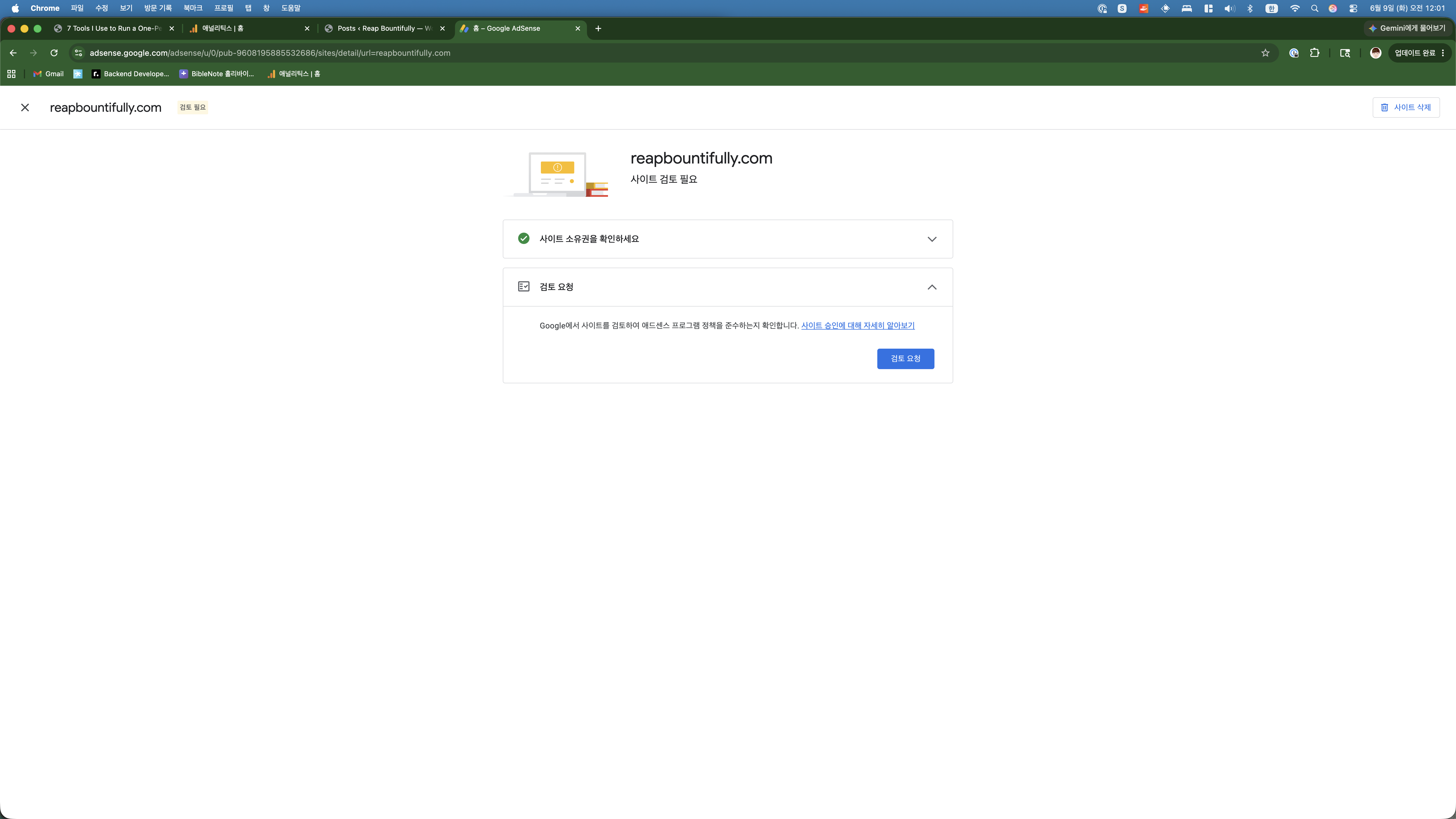 AdSense review request page with button